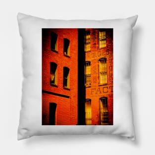 brick and glass Pillow