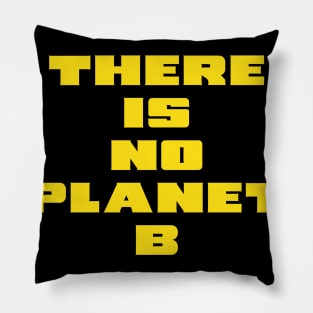 PLANET B 25 Pillow