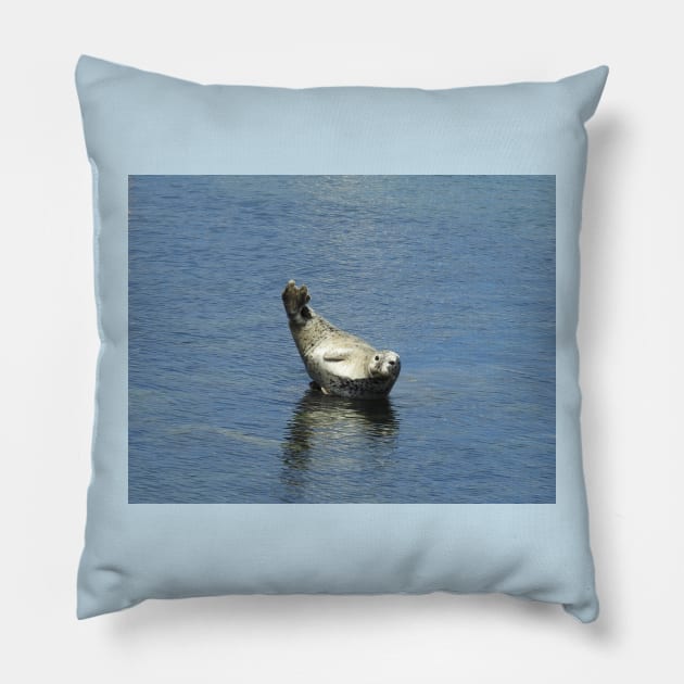 Harbor seal, marine life, wildlife gifts Pillow by sandyo2ly