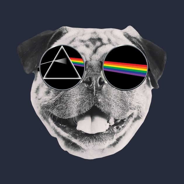 Dark Side Of The Pug by Rebus28