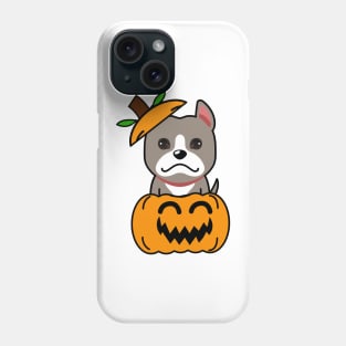 Funny grey dog is in a pumpkin Phone Case