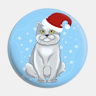 Christmas cat. Santa cat on a blue background with snowflakes. Pin