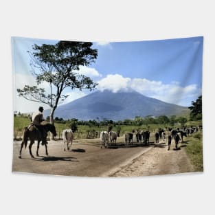 Colorized Vintage Photo of Cattle Drive past San Miguel Volcano Tapestry