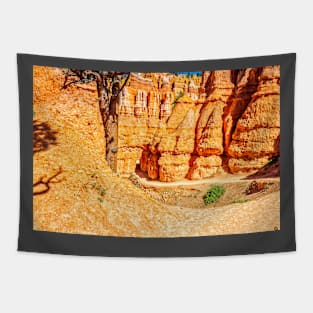 Bryce Canyon National Park Tapestry