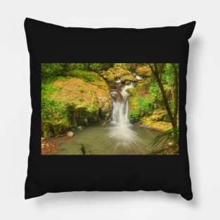 Bunyip Falls at Lamington Pillow