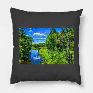 West Branch Ware River Pillow