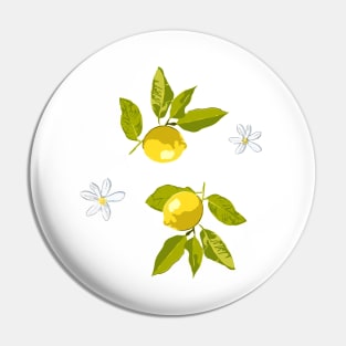 Lemon and flowers Pin