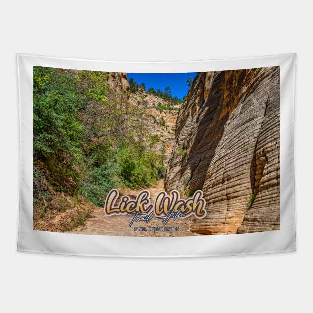 Lick Wash Trail Hike Tapestry by Gestalt Imagery