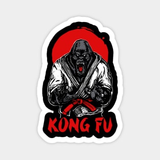 Kong Fu Magnet