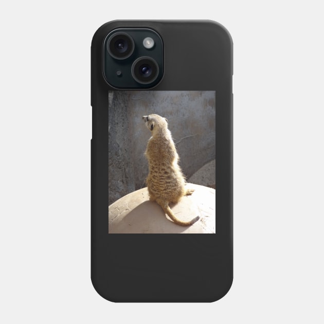 Meerkat Phone Case by erickphd