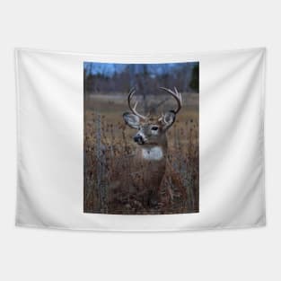 Splendor in the Grass - White-tailed Deer Tapestry