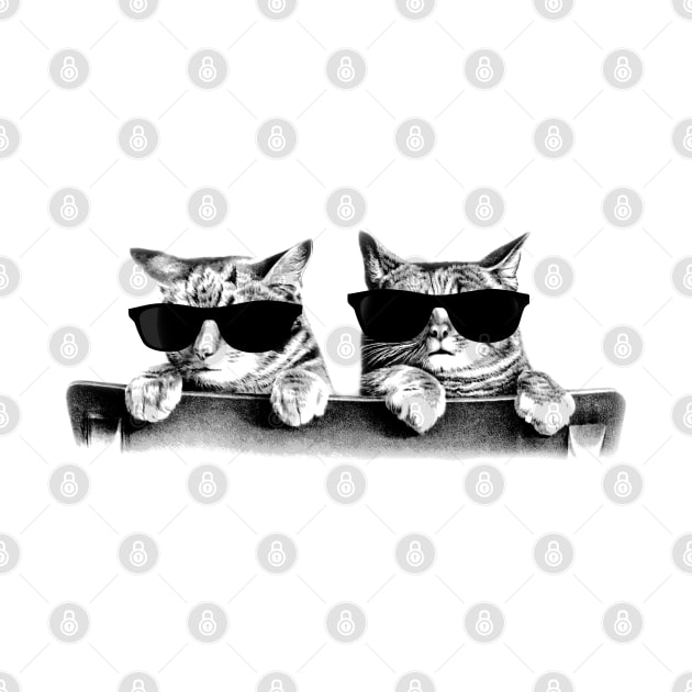 Cool Kittens by SandraKC