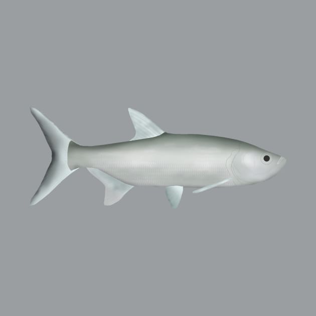 Indo-Pacific Tarpon by FishFolkArt