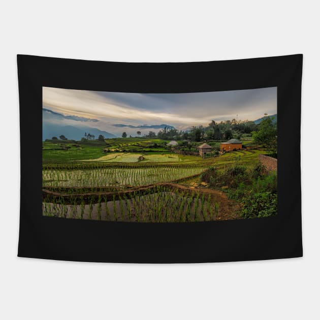 The Rice Terraces of Y Ty Tapestry by PeterH