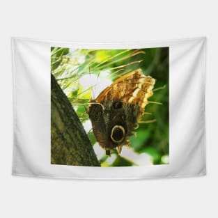 Mournful Owl Butterfly Tapestry