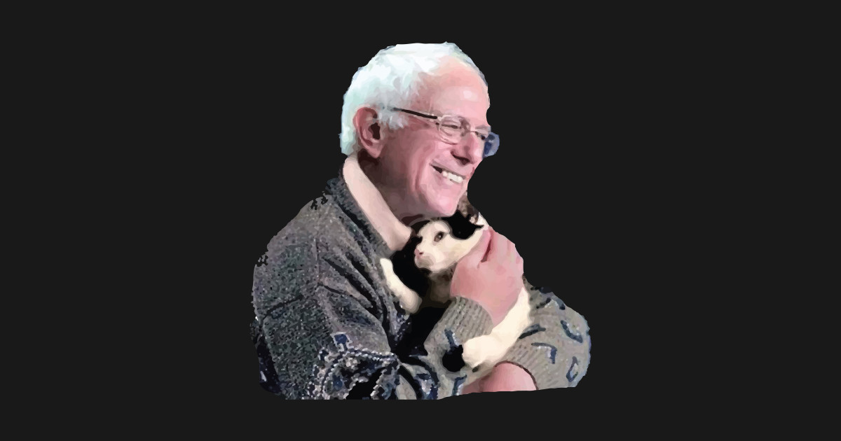 Bernie Hugging Cat Bernie Sanders TShirt TeePublic
