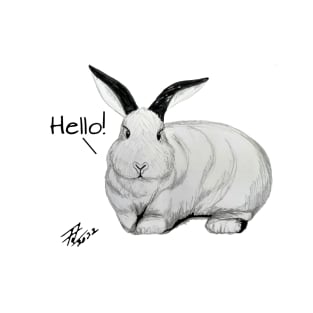 White rabbit - hello T-Shirt