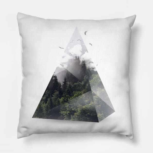 Triangle Alpha Pillow by astronaut