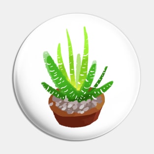 A succulent idea Pin