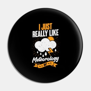 I Just Really Like Meteorology OK Pin