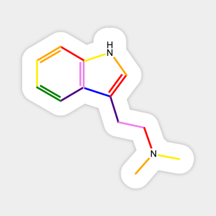 DMT Molecule Rainbow Chemistry Magnet