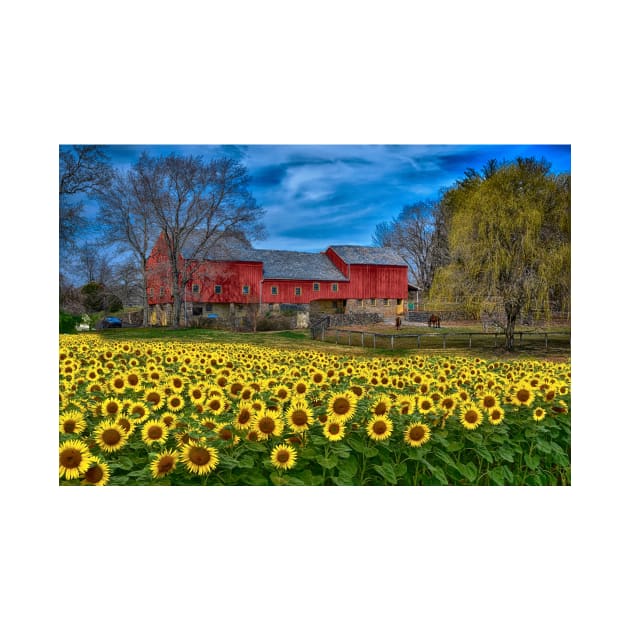 Sunflower Field Country Landscape by JimDeFazioPhotography