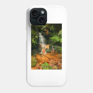 In The Valley of Orange & Green Phone Case