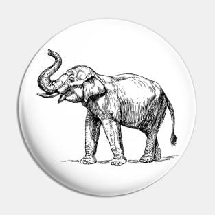 Sri Lanka Elephant Illustration Pin