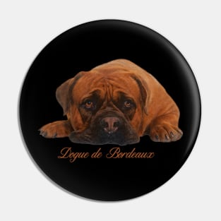 Dogue de Bordeaux Pin