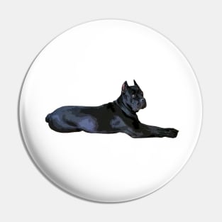 Black Cane Carso Pin