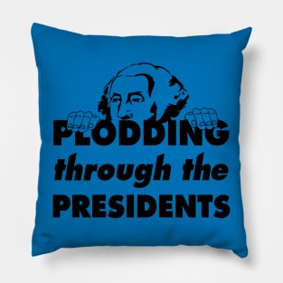 Plodding Through The Presidents - Peeking George Pillow