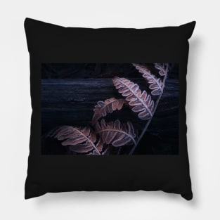 Frozen fern leaves Pillow