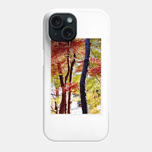 Autumn Colours 10 Phone Case