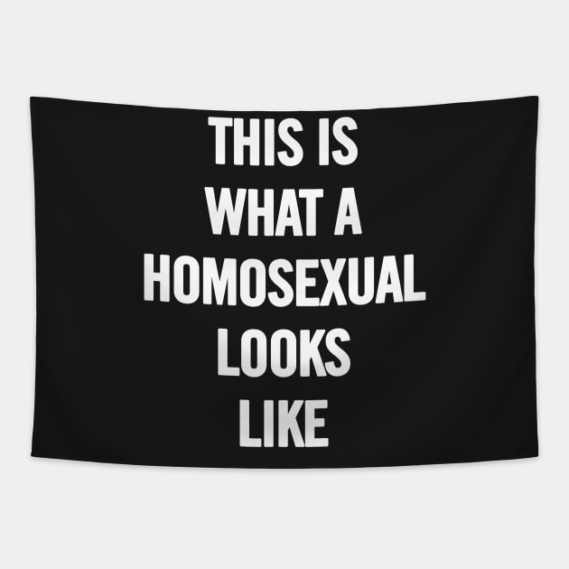 This Is What A Homosexual Looks Like Tapestry by sergiovarela