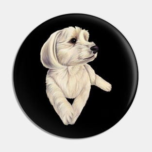 Havamalt - Maltese Havanese white dog Pin