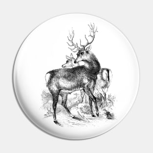 Deer Vintage Illustration Pin