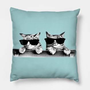 Cool Kittens Pillow