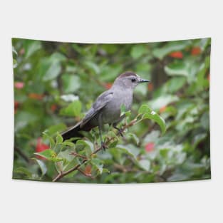 Gray Catbird in a Tree Tapestry