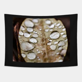 Water droplets on leaf Tapestry