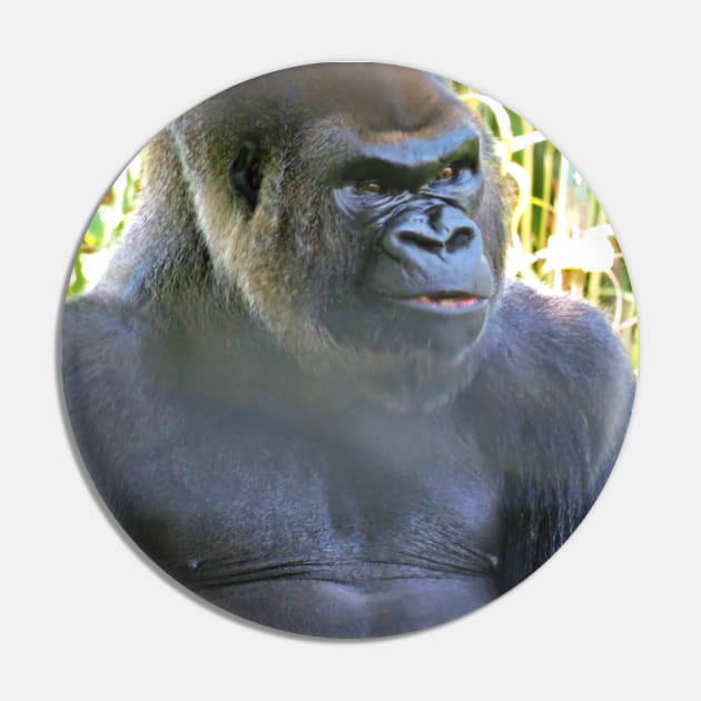 Grumpy Gorilla Pin by kcrystalfriend