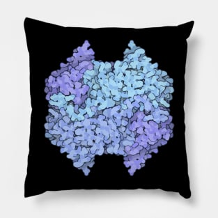 Lactate Dehydrogenase protein structure Pillow