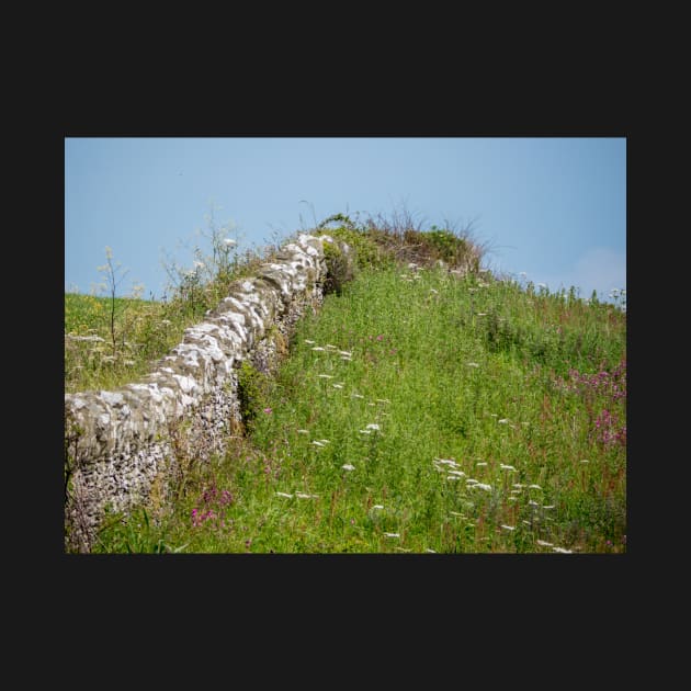 Wembury Dry Stone Wall by jonrendle