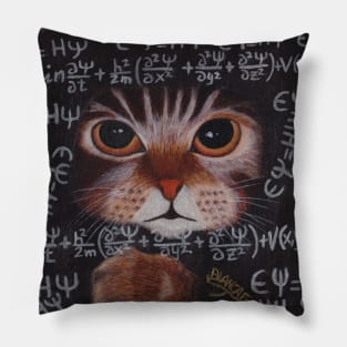 SCHRÖDINGER CAT Pillow