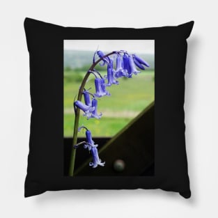 English Bluebells - Hyacinthoides non-scripta Pillow