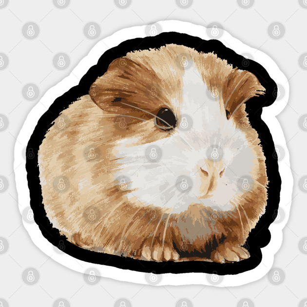 guinea pig lovers