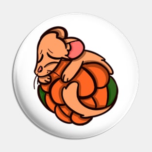 Mink sleeping on a cloudberry Pin