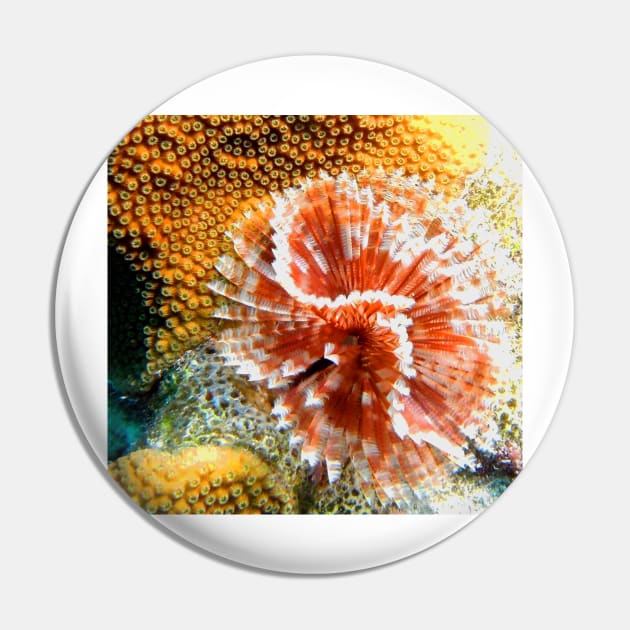 Red and White Feather Duster Coral Worm Pin by Scubagirlamy