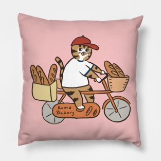 funny Cat and bicycle Pillow