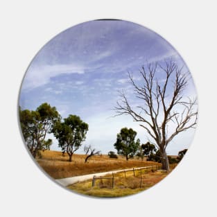 Sun Kissed Australian Landscape Pin