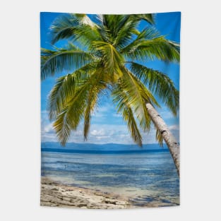 Panaraga Beach, Barobo, Surigao del Sur, Mindanao, Philippines Tapestry